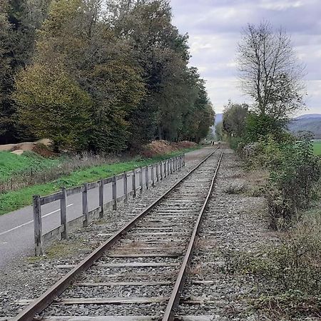 A L'Oree Du Bois "Les Hetres" Guewenheim Extérieur photo