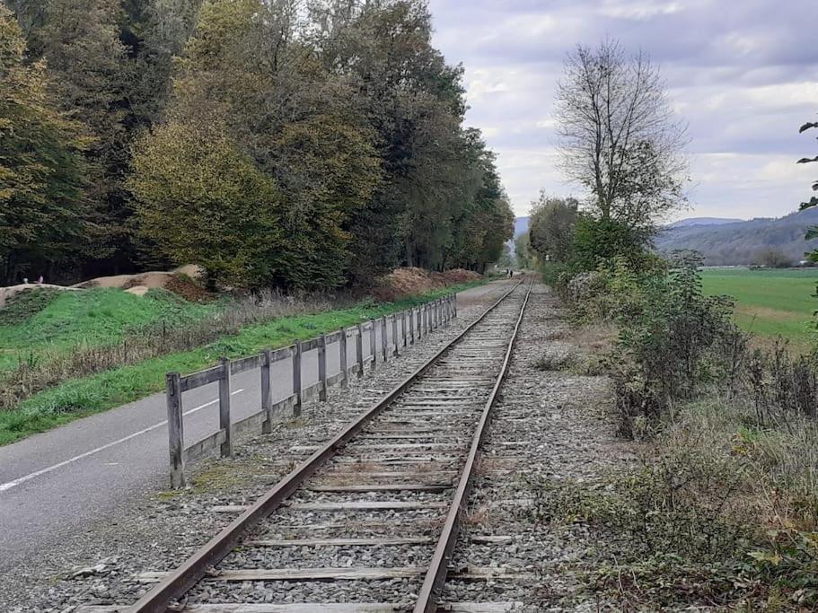 A L'Oree Du Bois "Les Hetres" Guewenheim Extérieur photo